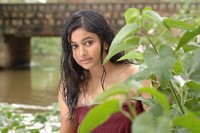 Poonam Bajwa Hot Pics